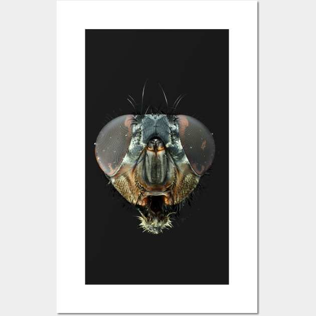 Extreme macro photo (under the microscope) of a fly head Wall Art by SDym Photography